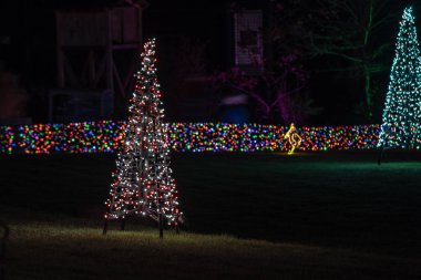 Portland, ya da / Amerika Birleşik Devletleri - 21 Aralık 2018: Noel ağacı Zoolights olay kırmızı ve gri ışıklarda yapılmış. Renkli bokeh arka planda.