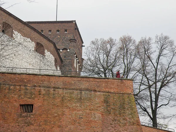 Kasteel Van Wawel Krakau Polen — Stockfoto