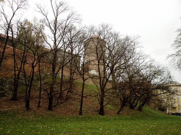 Краків Замку Вавель Польщі — стокове фото