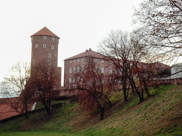 Krakova Wawelin Linna Puolassa — kuvapankkivalokuva