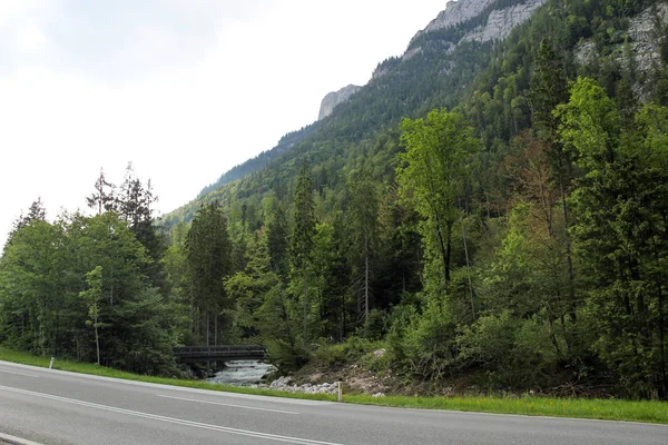 Yol nehir ve dağ orman Bridge'de