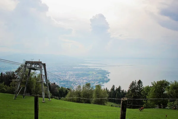 Alpine Wildlife Park Dieren Het Uitzicht Het Bodenmeer Bregenz Oostenrijk — Stockfoto