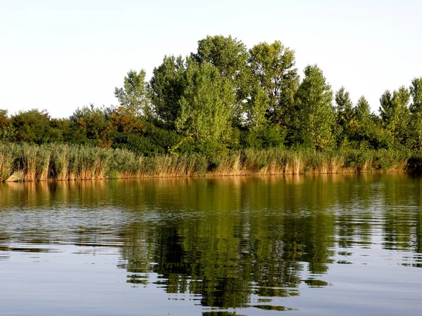 Verão Árvores Coloridas Que Refletem Tranquil Calm River — Fotografia de Stock