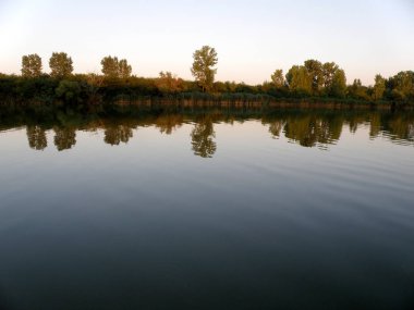 Güzel renkli yatay, sakin nehirde yansıtan ağaçlar