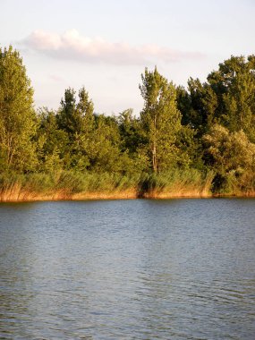 Güzel yaz renkli ağaçlar ve nehir ya da göl