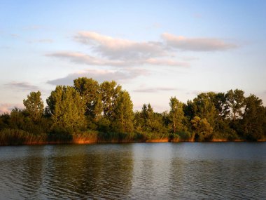 Sonbahar veya yaz renkli ağaçlar nehir kenarındaki