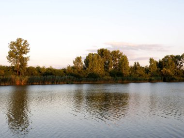 Sonbahar veya yaz renkli ağaçlar nehir kenarındaki