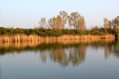 Sakin nehirde yansıtan sonbahar renkli ağaçlar