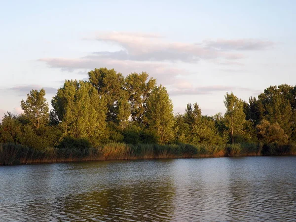 Jesienią Lub Lato Kolorowe Drzewa Stronie Rzeki — Zdjęcie stockowe