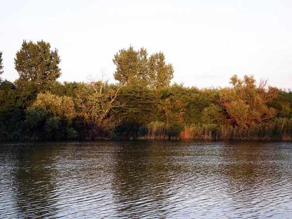 Φθινόπωρο Καλοκαίρι Πολύχρωμα Δέντρα Στο River Side — Φωτογραφία Αρχείου