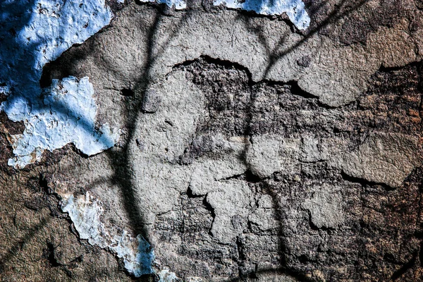 Grunge Rustic Wall Texture — Stock Photo, Image