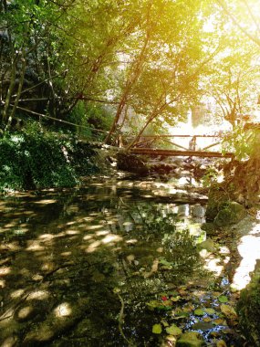 Köprü ve gençler ile ormandaki nehir