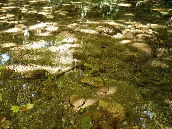 Flusswasser Mit Steinen — Stockfoto