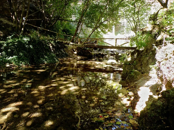 Ponte Sobre Rio Floresta Com Reflexão — Fotografia de Stock