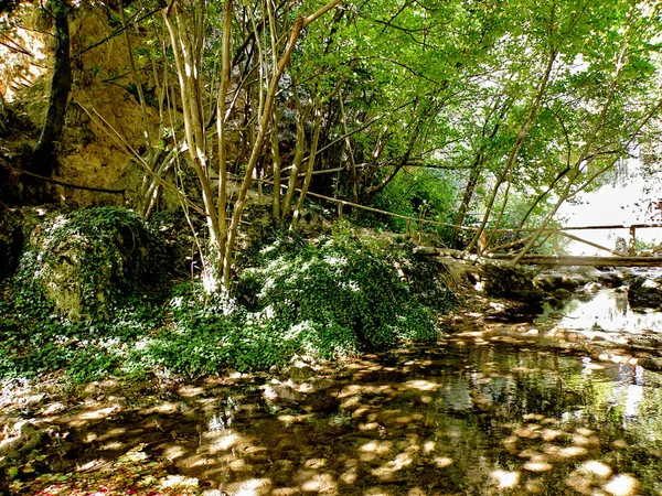 Brücke Über Den Fluss Wald Mit Reflexion — Stockfoto