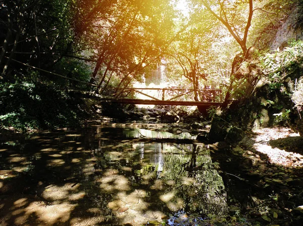 Brücke Und Fluss Wald Mit Sonnenschein — Stockfoto