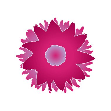 İzole pembe vektör çiçek
