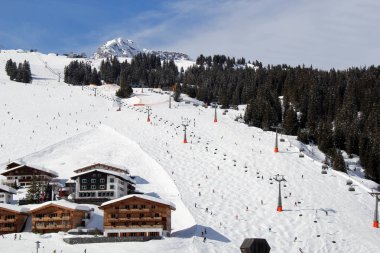 Avusturyalı Alpine Kayak bakırlı, kış