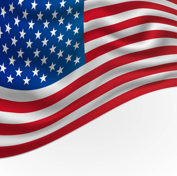 Флаг США Векторное знамя
