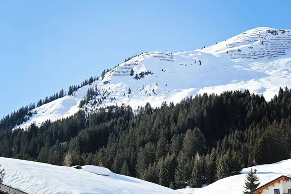 Bella Pineta Montagne Innevate Nelle Alpi — Foto Stock