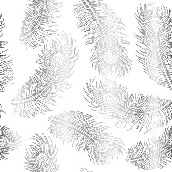 Tavus Kuşu Tüyü Dikişsiz Desen Gümüş Beyaz Arka Plan