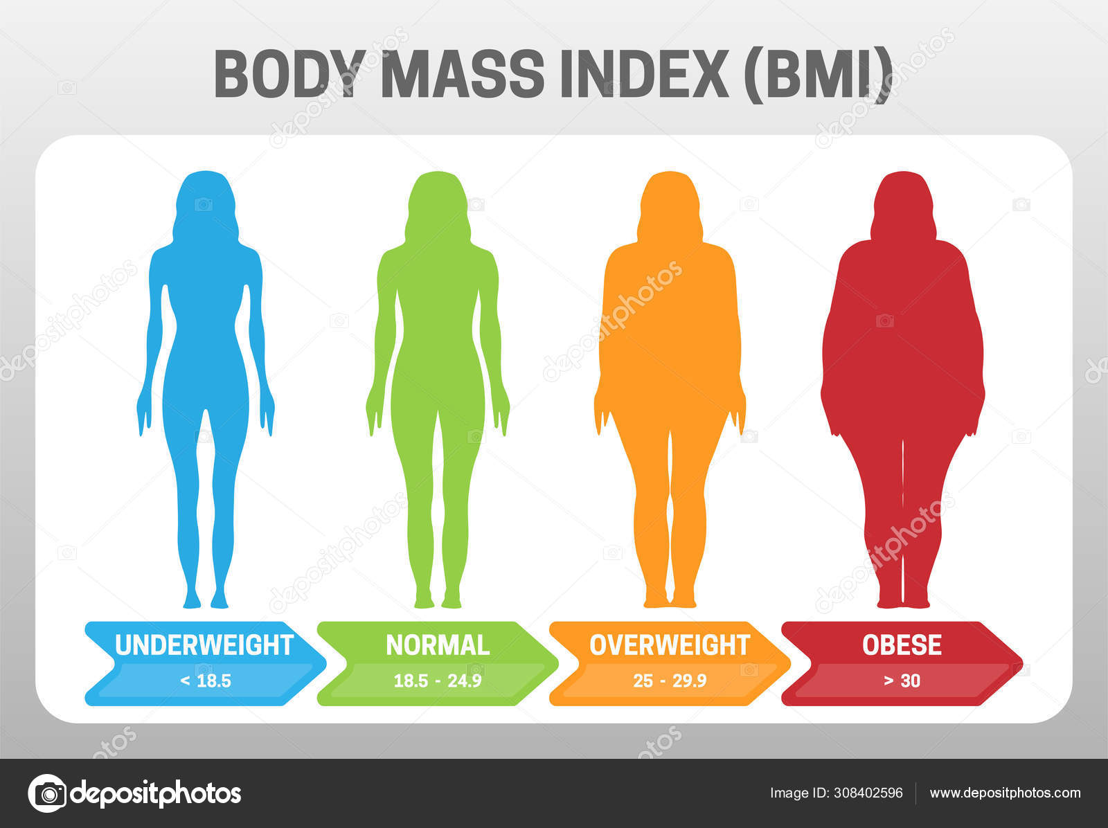 Stockvector Body mass index chart, man and woman silhouette, vector BMI  scale of health, obesity and overweight. Body mass index infographic on  female and male fat obese weight and underweight BMI scale