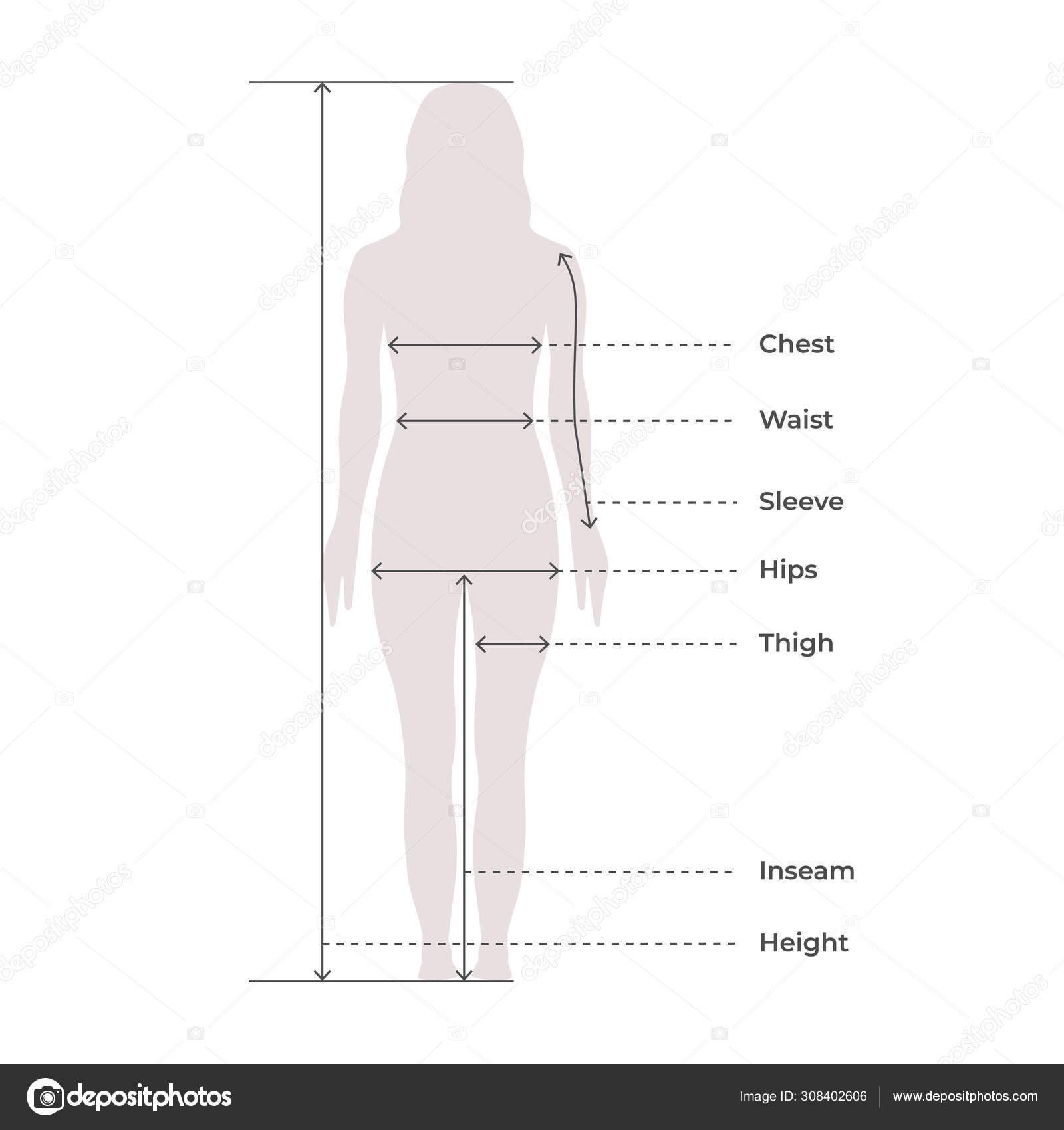 Body Measurements Template from st4.depositphotos.com