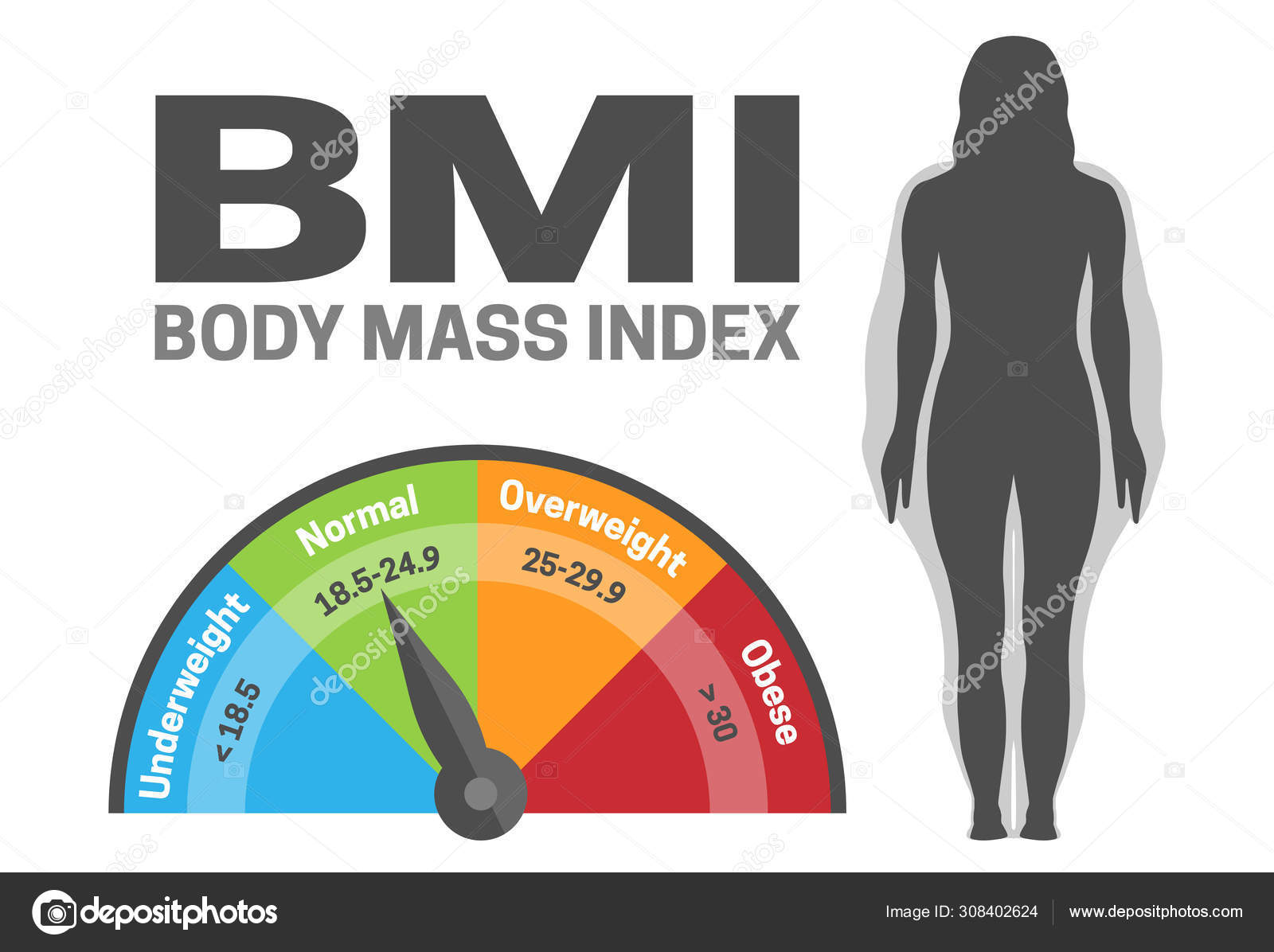 Weight norm and BMI scale infographic, flat vector illustration isolated., Stock vector
