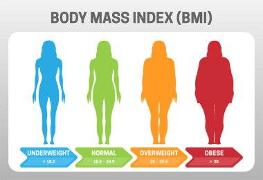 Bmi Vücut Kitle İndeksi Vektör İllüstrasyon Underweight obez kadın siluet ile. Farklı kiloda obezite dereceleri.