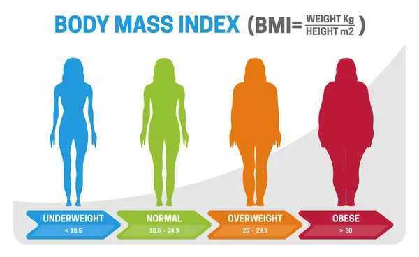 Bmi Vücut Kitle İndeksi Vektör İllüstrasyon Underweight obez kadın siluet ile. Farklı kiloda obezite dereceleri.