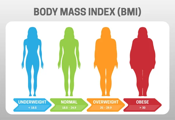 Bmi Vücut Kitle İndeksi Vektör İllüstrasyon Underweight obez kadın siluet ile. Farklı kiloda obezite dereceleri.