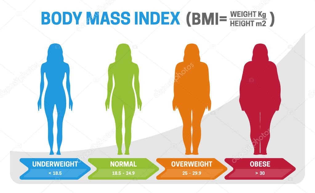 BMI Body Mass Index Vector Illustration with Woman Silhouette from Underweight to Obese. Obesity degrees with different weight.