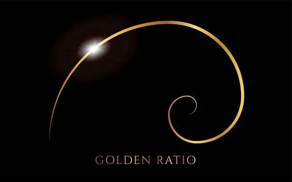 Illustration Fond Spirale Fibonacci Golden Ratio Noir — Image vectorielle
