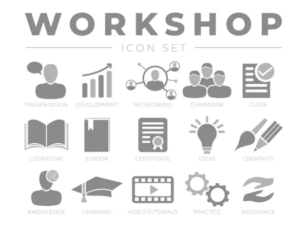 Workshop Icon Set Apresentação Desenvolvimento Networking Trabalho Equipe Guia Literatura —  Vetores de Stock