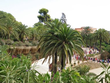 Barselona, İspanya - 14 Ağustos 2012: Barcelona, İspanya 'da Park Guell' de Agave 