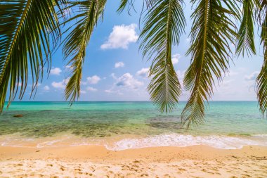 Güzel Cennet Adası ile Hindistan cevizi hurma ağacı - tatil tatil kavramı etrafında deniz ve plaj peyzaj