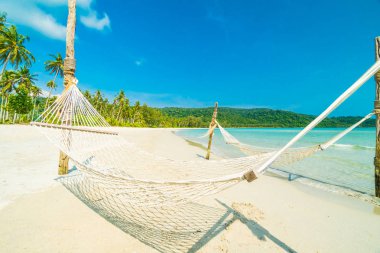 Hamak güzel doğa tropikal plaj ve deniz cocon ile
