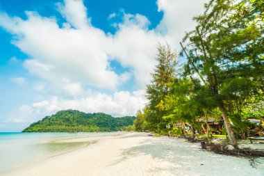 Güzel tropikal plaj ve deniz paradise Island Seyahat ve tatil için Hindistan cevizi hurma ağacı