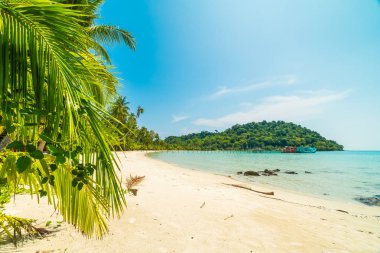Güzel tropikal plaj ve deniz paradise Island Seyahat ve tatil için Hindistan cevizi hurma ağacı