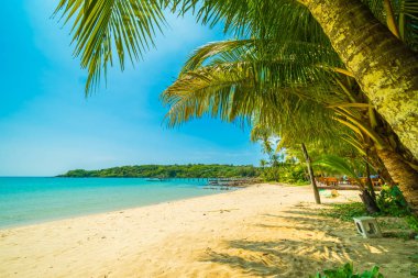 Güzel tropikal plaj ve deniz paradise Island Seyahat ve tatil için Hindistan cevizi hurma ağacı