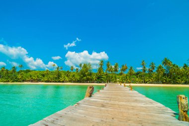 Ahşap iskele veya Cennet Adası için seyahat etmek tatil tropikal plaj ve ile köprü