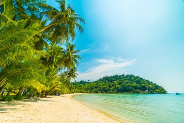 Güzel tropikal plaj ve deniz paradise Island Seyahat ve tatil için Hindistan cevizi hurma ağacı