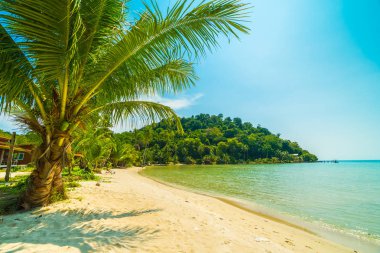 Güzel tropikal plaj ve deniz paradise Island Seyahat ve tatil için Hindistan cevizi hurma ağacı