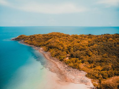Güzel doğa tropikal plaj ve deniz kayık tekne ve Hindistan cevizi hurma ağacı Cennet Adası için seyahat etmek tatil