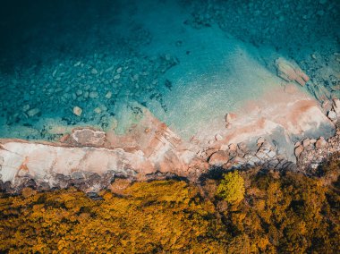 Güzel doğa tropikal plaj ve deniz kayık tekne ve Hindistan cevizi hurma ağacı Cennet Adası için seyahat etmek tatil