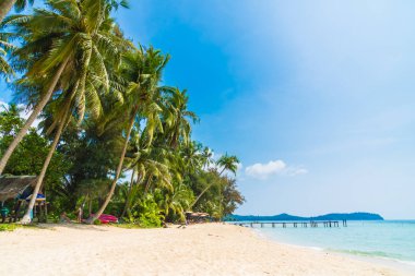 Güzel tropikal plaj ve Hindistan cevizi hurma ağacı Cennet Adası - tatil tatil kavramı ile