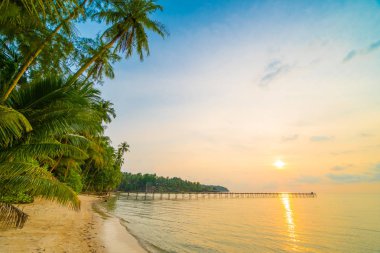 Plaj ve deniz Hindistan cevizi hurma ağacı günbatımı zaman - tatil tatil ve seyahat kavramı etrafında güzel Cennet Adası