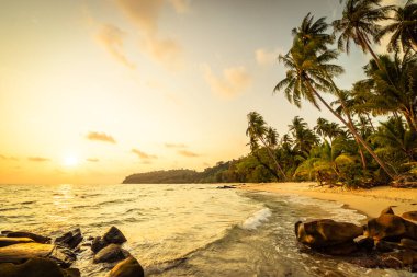 Plaj ve deniz Hindistan cevizi hurma ağacı günbatımı zaman - tatil tatil kavramı etrafında güzel Cennet Adası