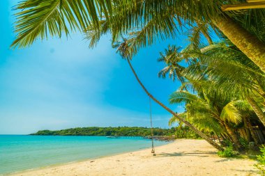 Güzel tropikal plaj ve deniz paradise Island Seyahat ve tatil için Hindistan cevizi hurma ağacı