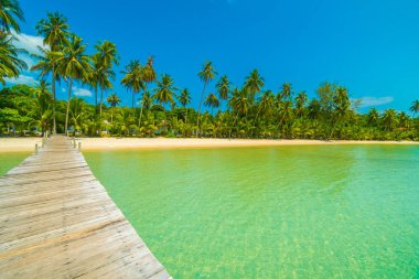 Ahşap iskele veya Cennet Adası için seyahat etmek tatil tropikal plaj ve ile köprü